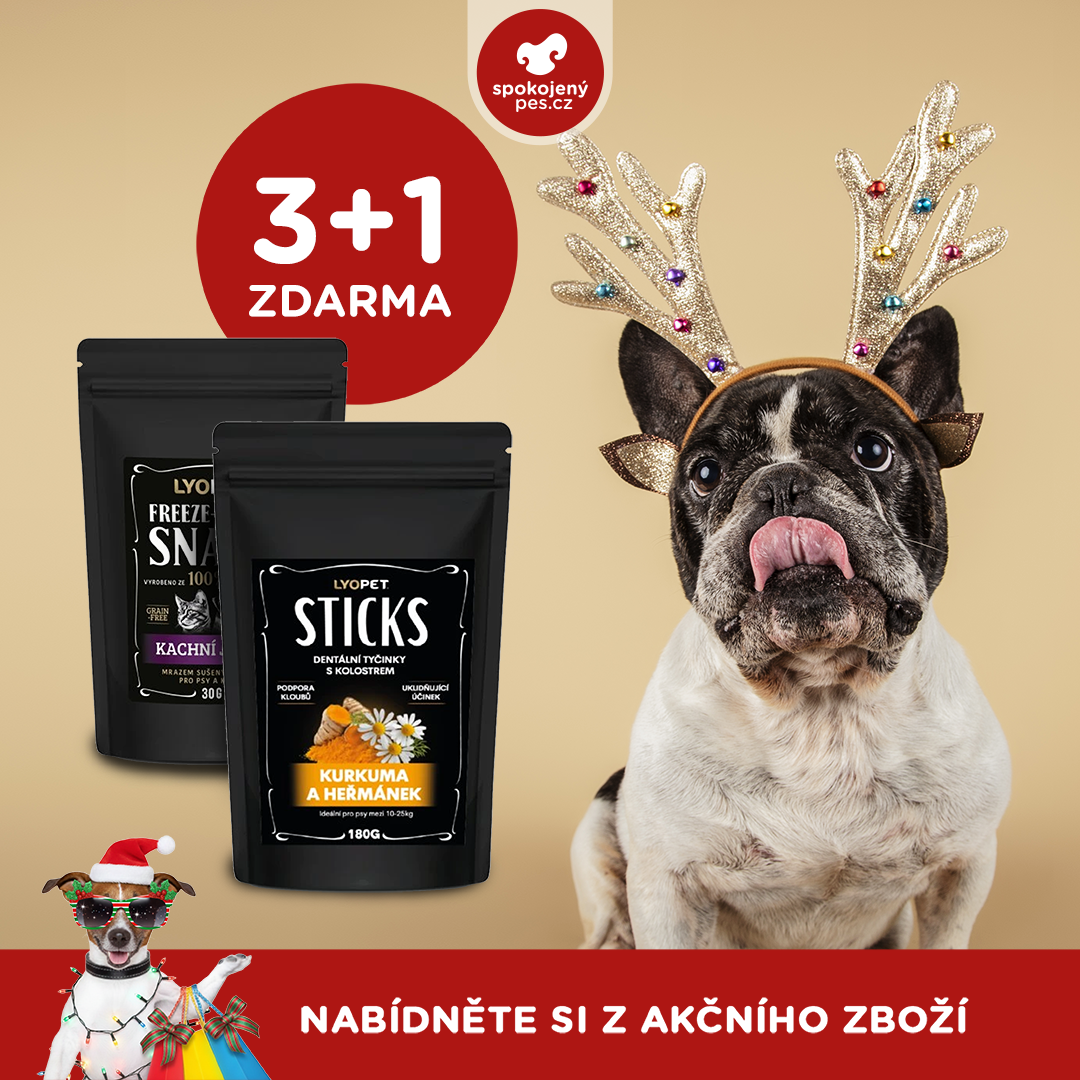 akční prosinec_pes2.png